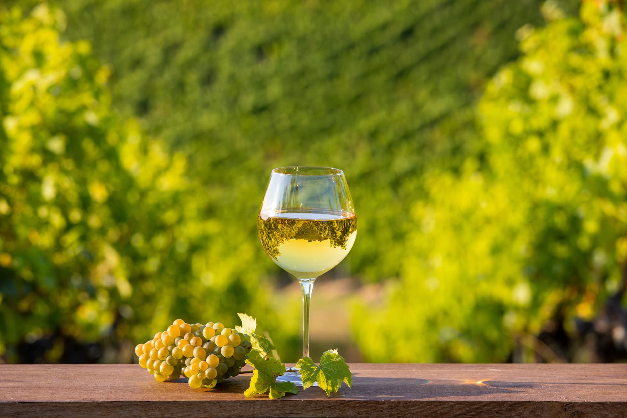 Les vins Sainte-Marie-aux-Mines 9